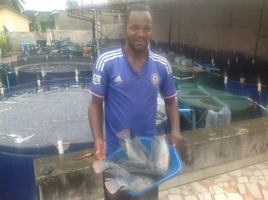 DFAS - DRC - Tilapia - harvest.jpg - Agridisk